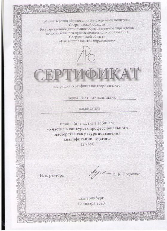 Вебинар Участие в конкурсах профессионального мастерства как расурс повышения  квалификации педагога.jpg